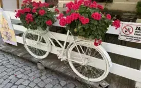 Messenger_creation_796CBEF7-A469-44F5-9B2E-EF7855826637