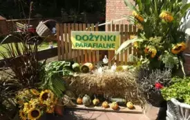 DSCN6215