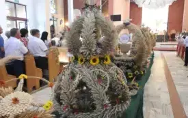 DSCN6301