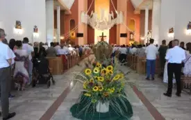 DSCN6284