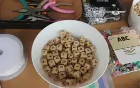 DSCN6492