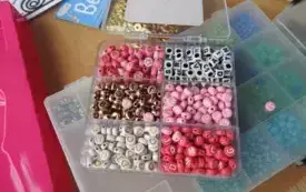DSCN6493
