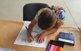 DSCN6526