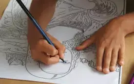 DSCN6528