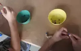 DSCN6539