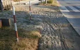 DSCN6559