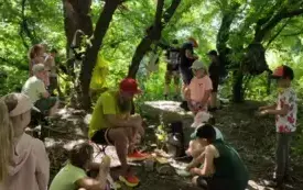 40