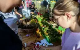 HMIMG_0106