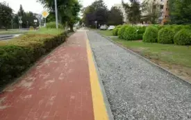 DSCN6732