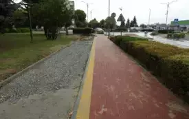 DSCN6733