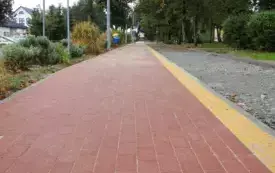 DSCN6742