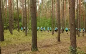 DSCN7012