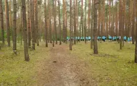 DSCN7010
