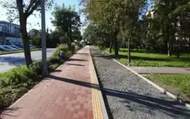 DSCN7228