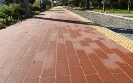 DSCN7229