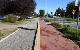 DSCN7230