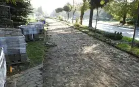 DSCN7501