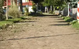 DSCN7506
