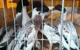 c5a31216-d130-4ace-881c-b1c6b357a1e8
