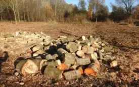 DSCN7991