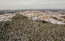 zaśnieżone choinki z g&oacute;ry