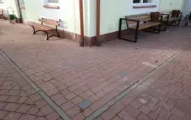 DSCN8149