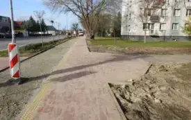 DSCN8161