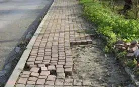 DSCN8186
