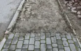 DSCN8191