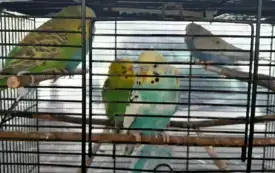 2ba359e5-7ac3-489e-bf25-6fe990eedcd8