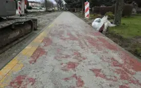 DSCN8368