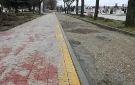 DSCN8370