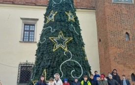 ebe49f69-879c-4db2-ad4c-3e6085981994