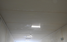 DSCN9084