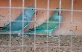 787b3dfa-bf6e-4379-a2ef-f677fde72f10