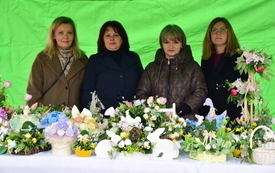 DSC_0066