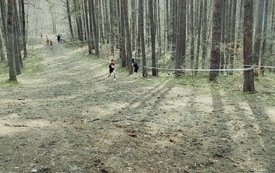 IMG_20260328_131333