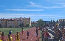 IMG-20260506-WA0005