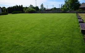 DSC_1005