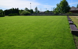 DSC_1003