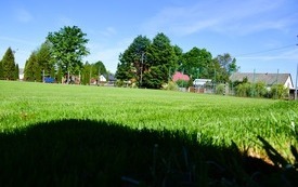 DSC_0950