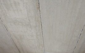 DSCN1804