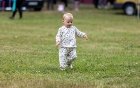 IMG_29