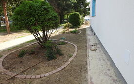 DSCN2322