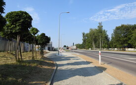 DSCN2461
