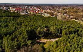 Kopiec Kościuszki oraz bloki wiosną