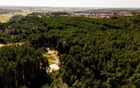 Las przy kopcu Kościuszki  z g&oacute;ry