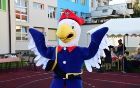DSC_0246