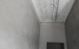 DSCN3518