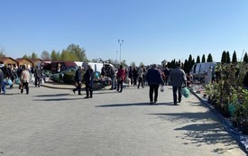 IMG_1112